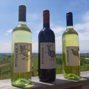 Mehr über den Artikel erfahren Winzerjause im Weingarten
